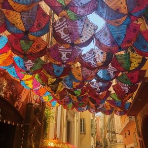 Meet your Posher, Jasmine